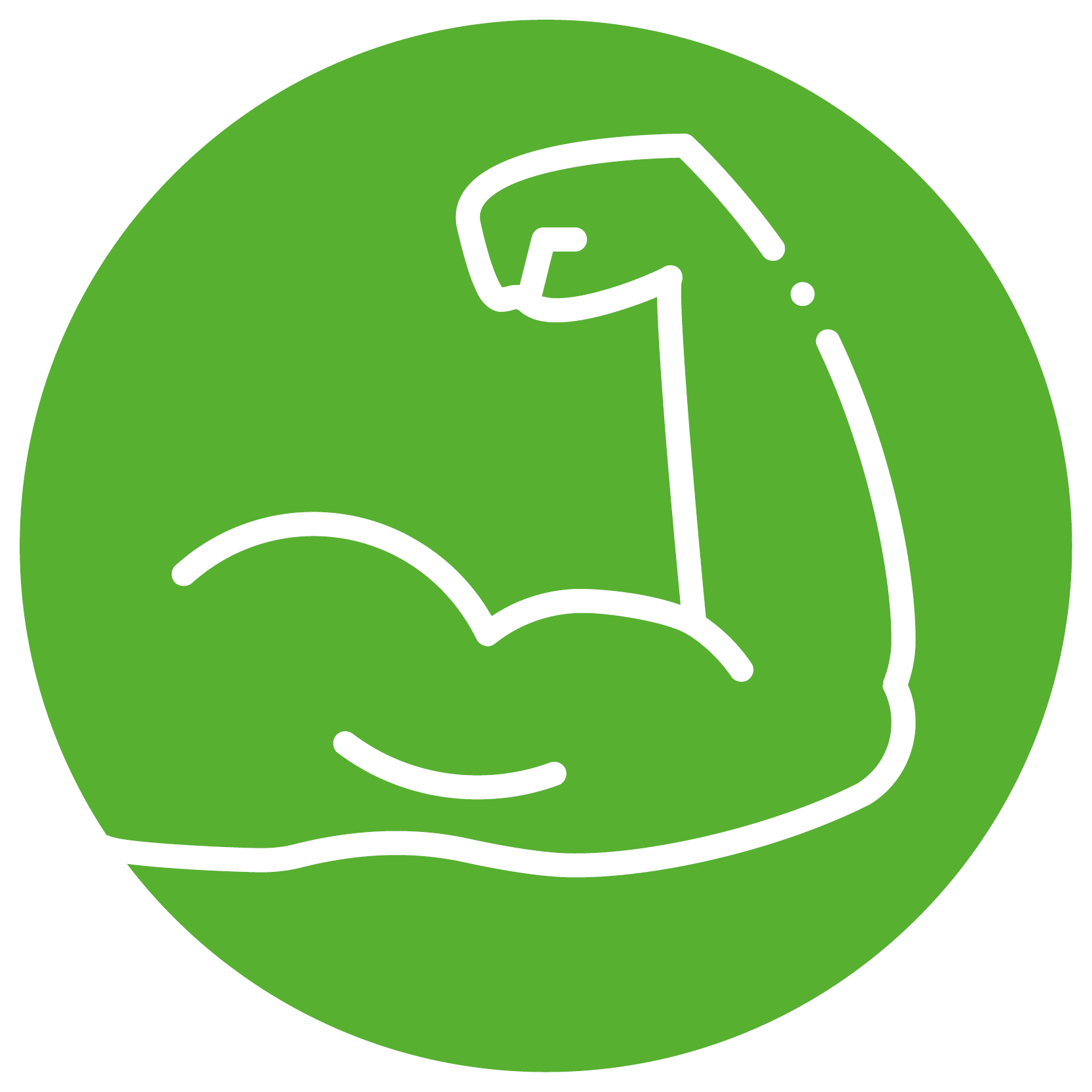 Muskelfunktion