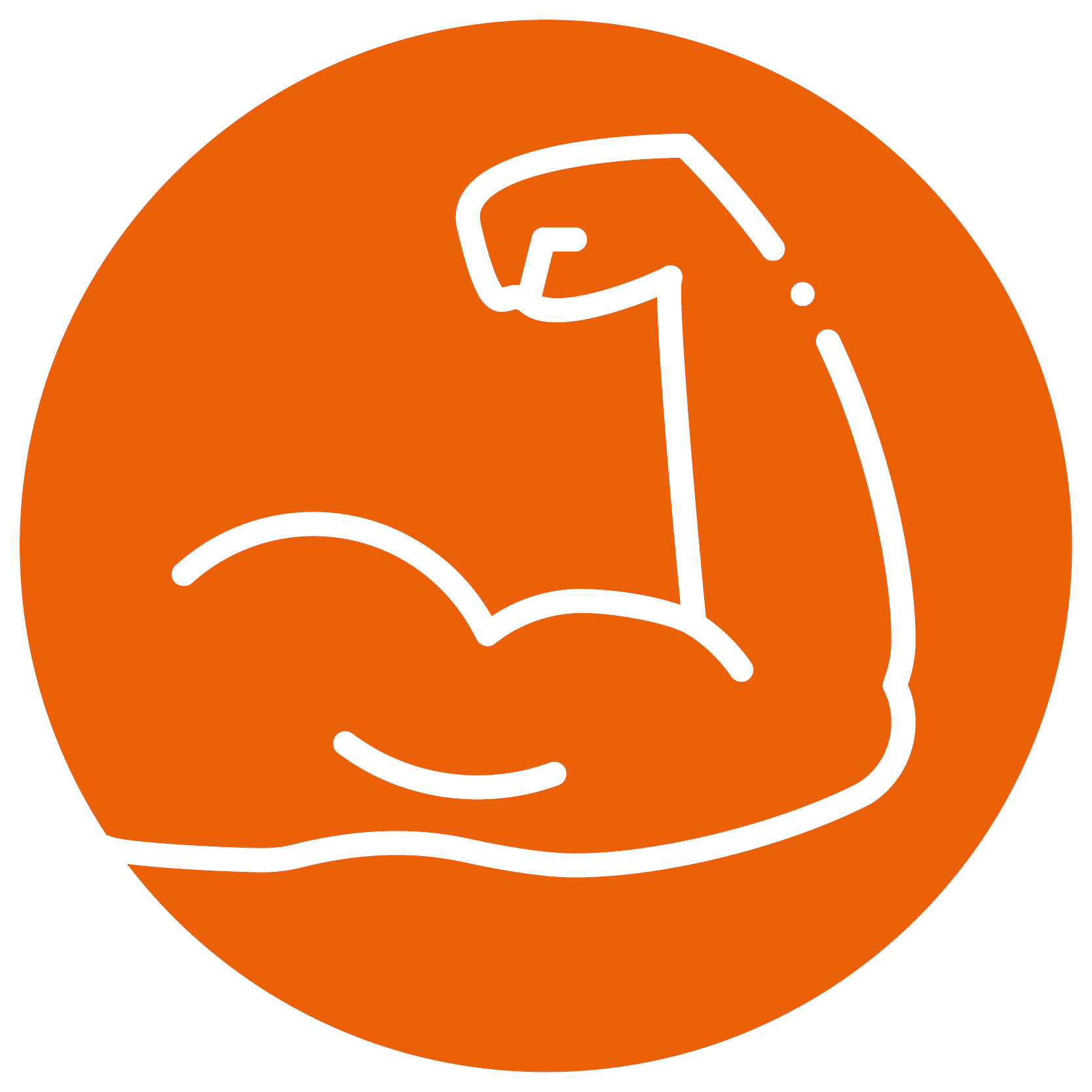 Muskelfunktion