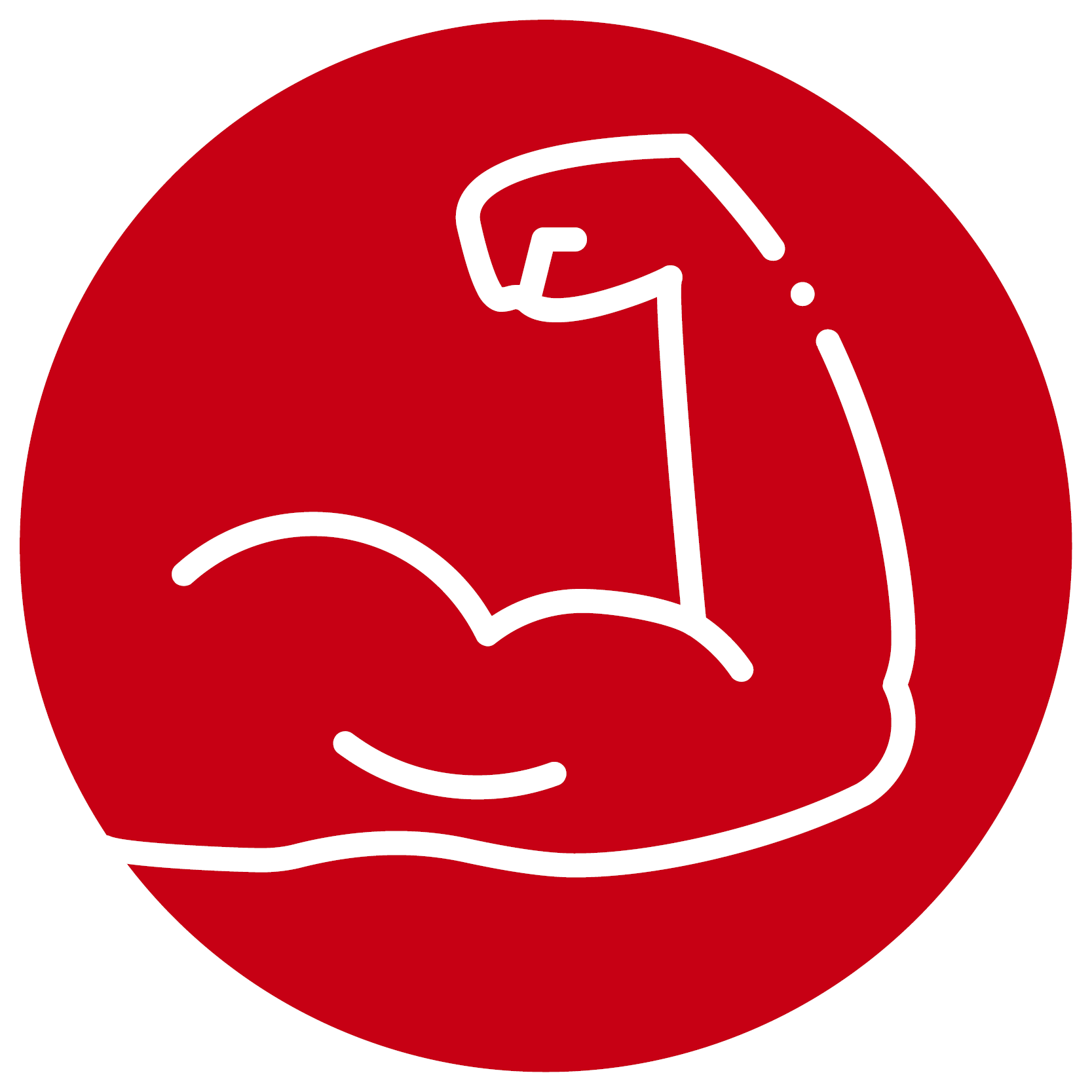 Muskelfunktion