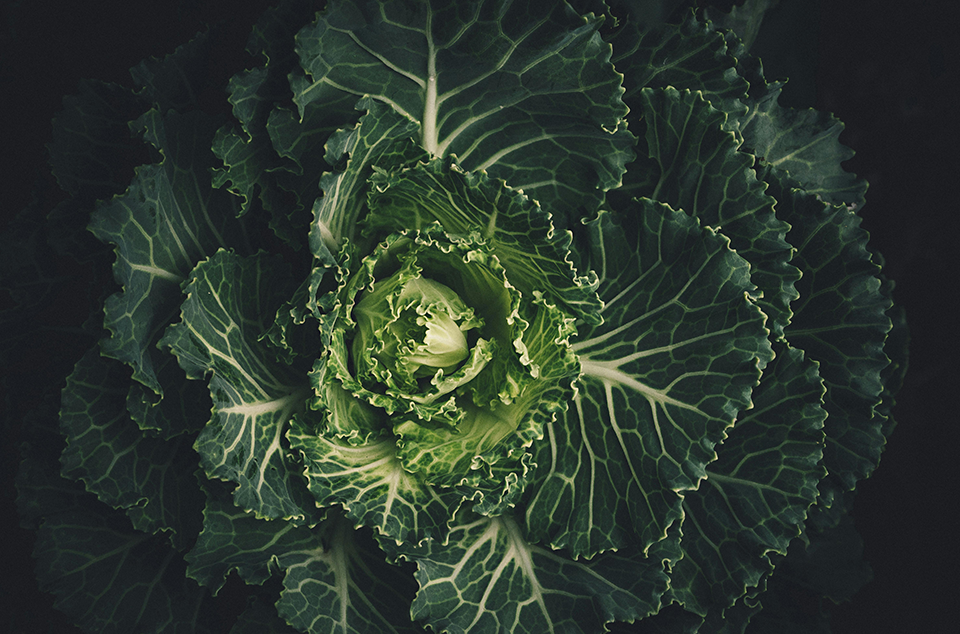 Hvor findes C-vitamin i kosten?