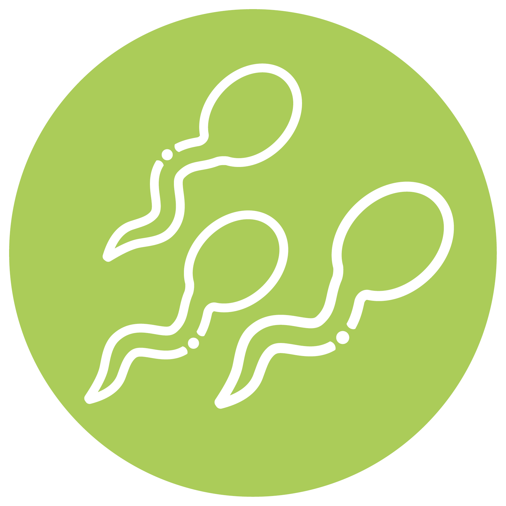 Fercilitet