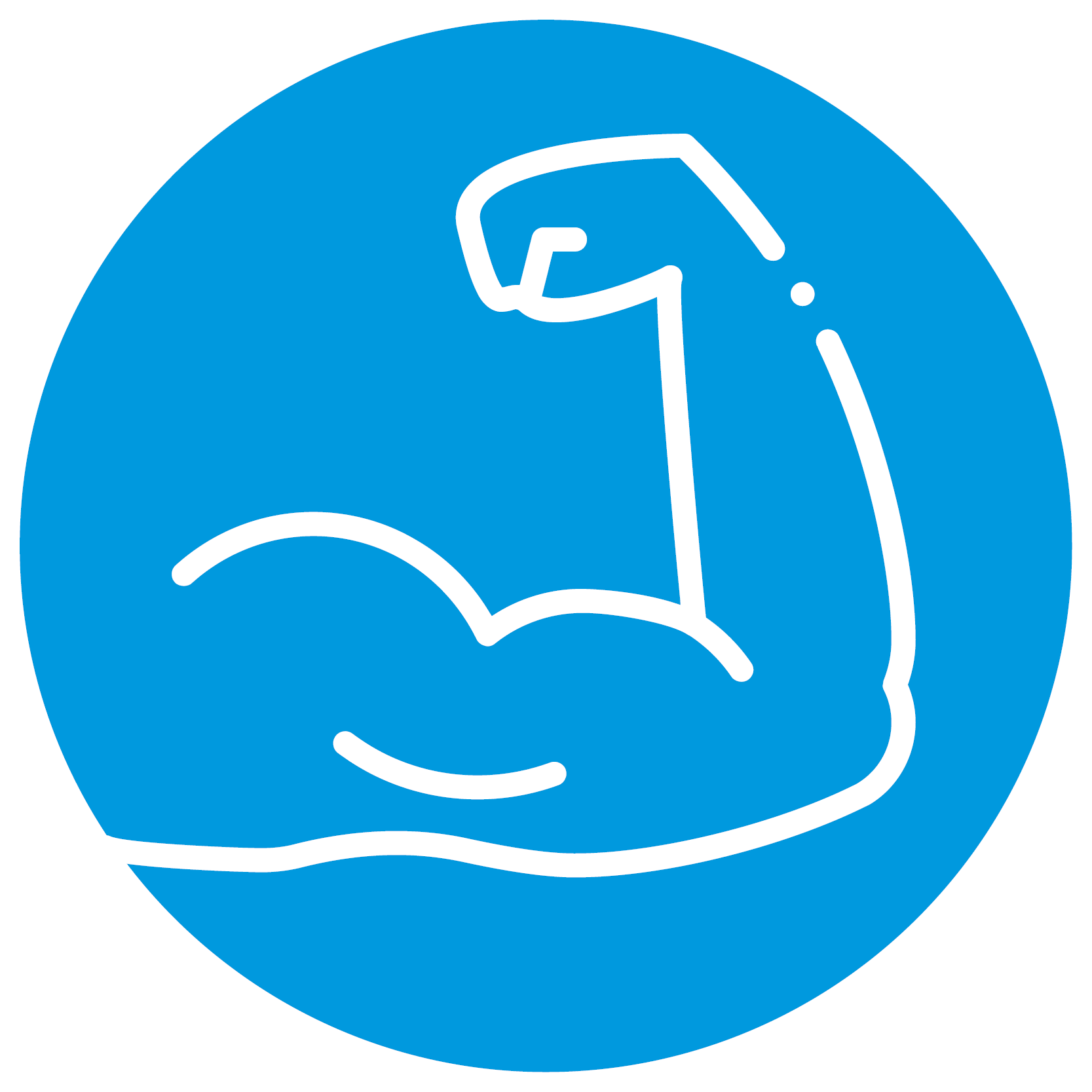Muskelfunktion