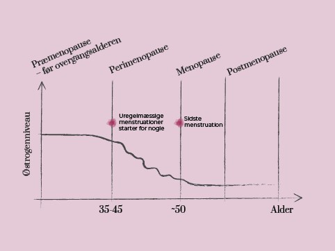 Østrogenniveauet